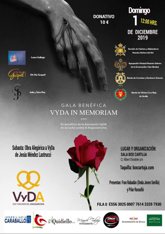 gala-benefica-vyda