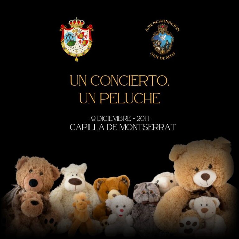 un-concierto-un-peluche