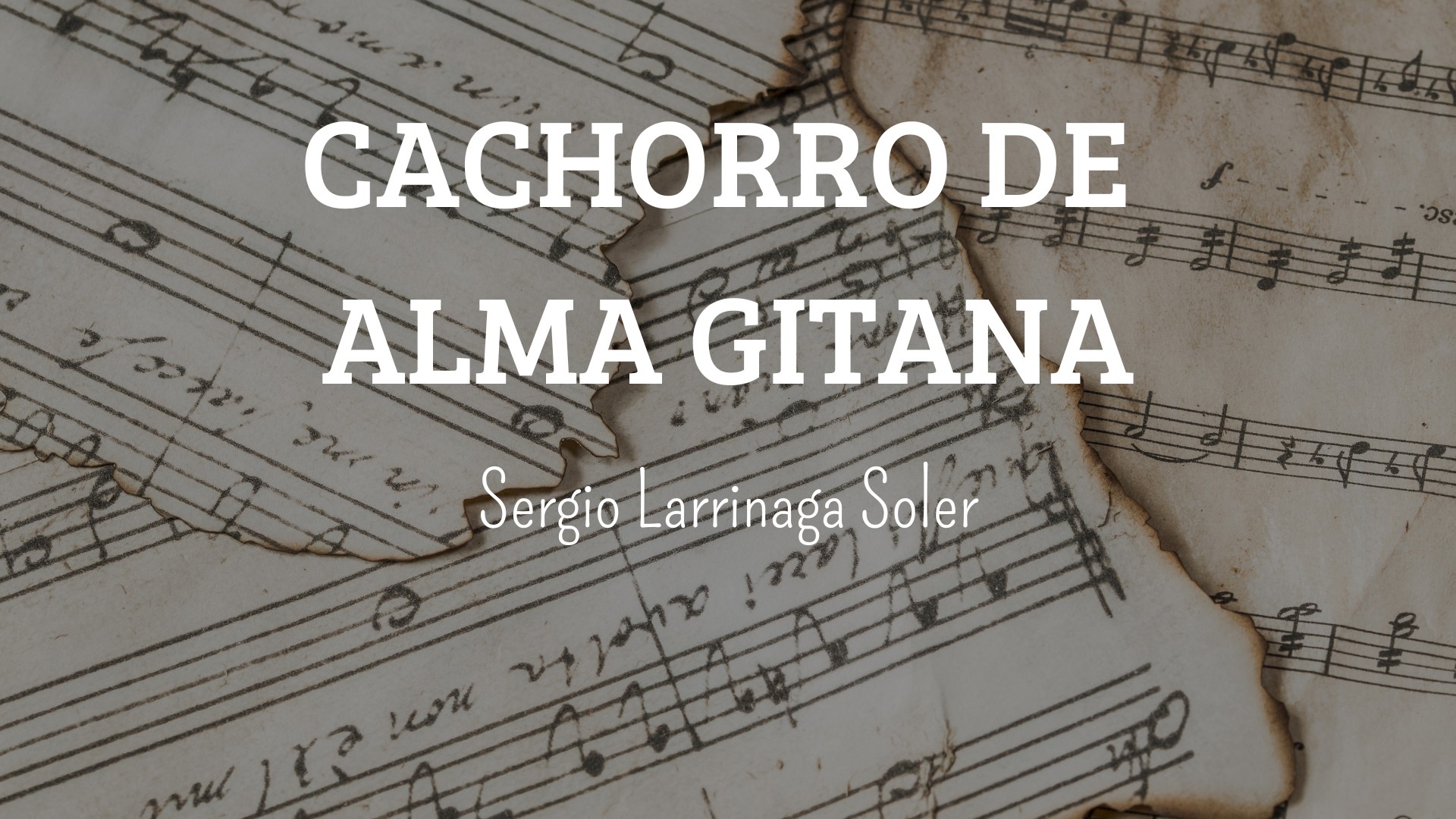 CACHORRO DE ALMA GITANA